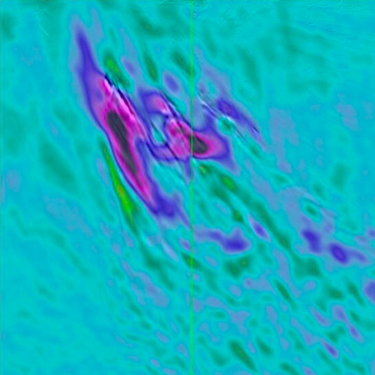 TGS_website_4DFWI_thumb (2)